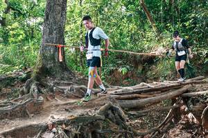 BIB: 
                            <button type="button" onclick="openModal(27716968)" class="btn btn-primary btn-sm float-right btn-popup" data-toggle="modal" data-target=".modal-high-quality">
                        <i class="fas fa-shopping-cart"></i> Add to Cart
                    </button>
                                            <button type="button" onclick="isThisMe(27716968, true)" class="btn btn-success btn-sm float-right btn-popup btn-isme hidden" data-toggle="tooltip" data-placement="bottom" title="นี่คือรูปของคุณใช่ไหม คลิกที่นี่เพื่อเอาเข้าอัลบั้ม">
                        <i class="fas fa-plus"></i> Add to album
                    </button>
                    <button type="button" onclick="isThisMe(27716968, false)" class="btn btn-warning btn-sm float-right btn-popup btn-isnotme hidden">
                        <i class="fas fa-ban"></i> Remove from album
                    </button>